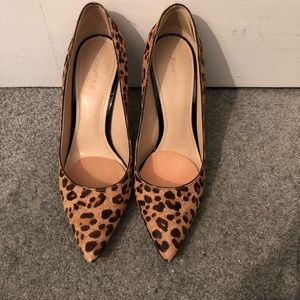 Leopard pumps